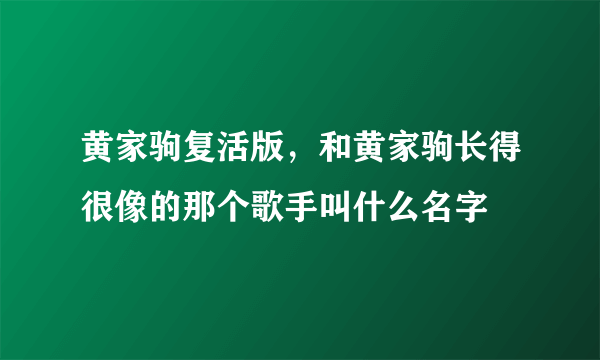 黄家驹复活版，和黄家驹长得很像的那个歌手叫什么名字