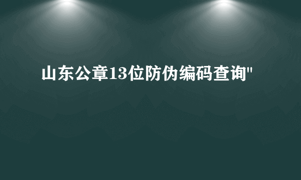 山东公章13位防伪编码查询