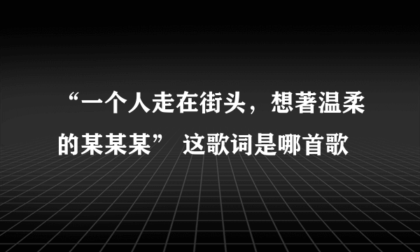 “一个人走在街头，想著温柔的某某某” 这歌词是哪首歌