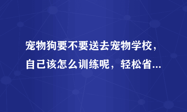 宠物狗要不要送去宠物学校，自己该怎么训练呢，轻松省下几千块