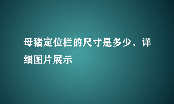 母猪定位栏的尺寸是多少，详细图片展示