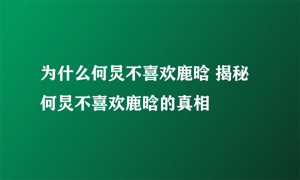 为什么何炅不喜欢鹿晗 揭秘何炅不喜欢鹿晗的真相