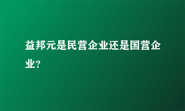 益邦元是民营企业还是国营企业？