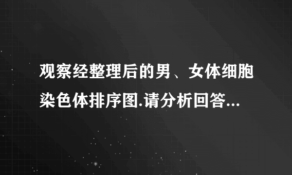 观察经整理后的男、女体细胞染色体排序图.请分析回答:(1)从图可看出,人的体细胞中,染色体是   存在的.染色体由蛋白质和  两种物质组成(2)根据染色体组成可以判断,乙为      (填“男”或“女”)性的染色体组成.乙产生的生殖细胞中含有      条染色体.(3)甲、乙的眼睑性状均表现为双眼皮,却生了一个单眼皮的孩子.若他们再生一个孩子,表现为单眼皮的可能性是      .