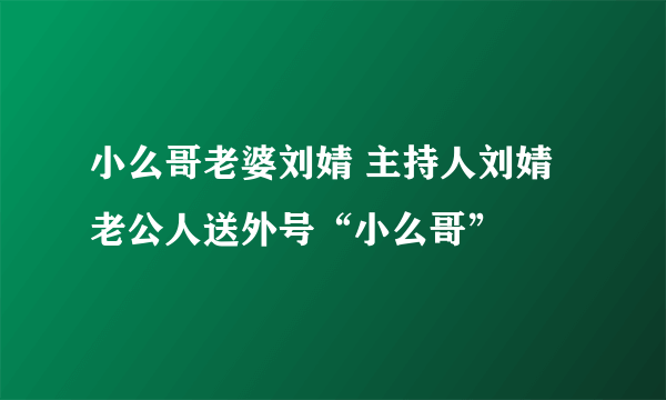 小么哥老婆刘婧 主持人刘婧老公人送外号“小么哥”