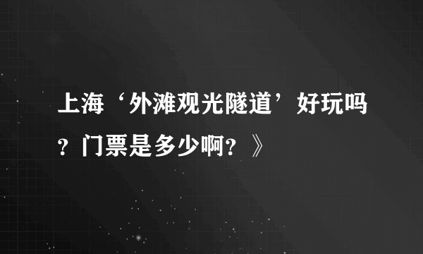 上海‘外滩观光隧道’好玩吗？门票是多少啊？》