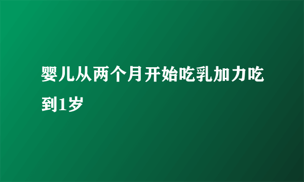 婴儿从两个月开始吃乳加力吃到1岁