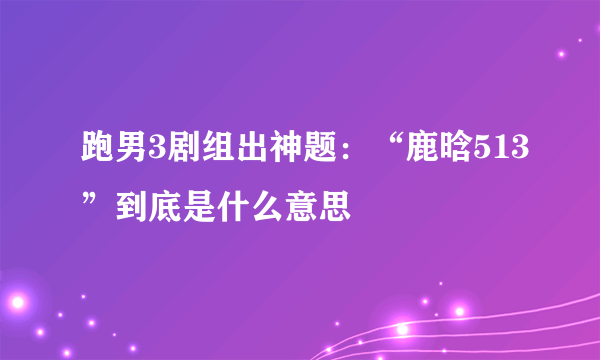 跑男3剧组出神题：“鹿晗513”到底是什么意思