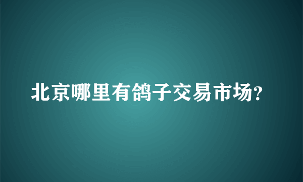 北京哪里有鸽子交易市场？