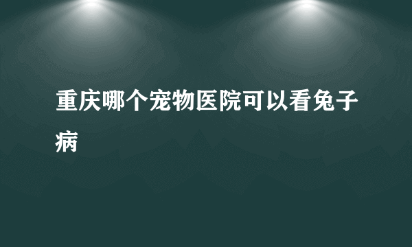 重庆哪个宠物医院可以看兔子病