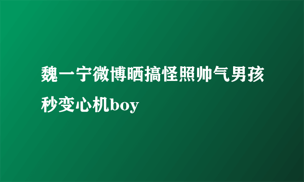 魏一宁微博晒搞怪照帅气男孩秒变心机boy