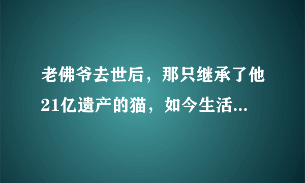 老佛爷去世后，那只继承了他21亿遗产的猫，如今生活得怎样？