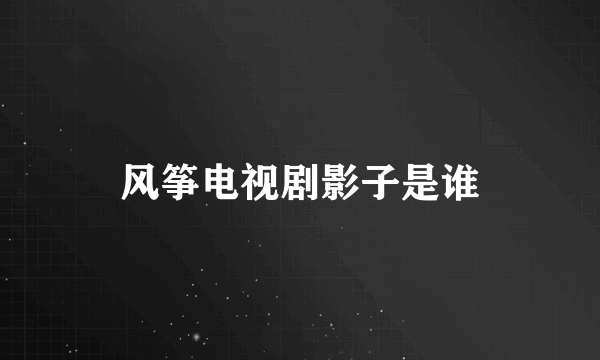 风筝电视剧影子是谁