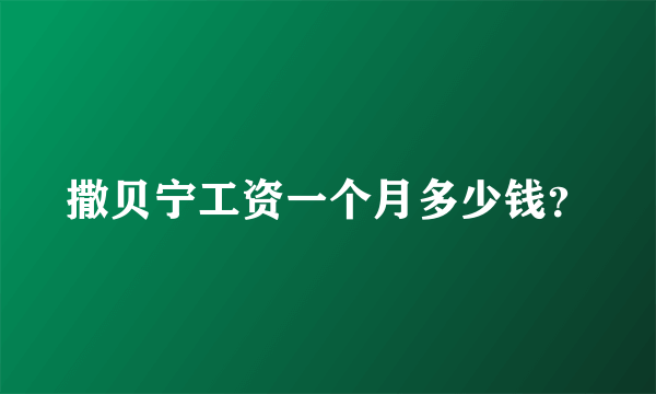 撒贝宁工资一个月多少钱？