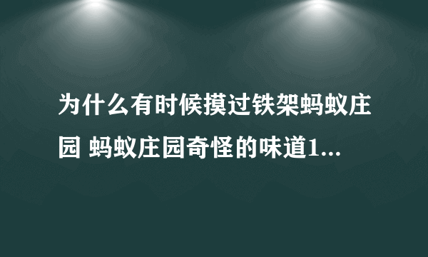 为什么有时候摸过铁架蚂蚁庄园 蚂蚁庄园奇怪的味道10.29