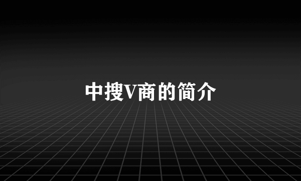 中搜V商的简介