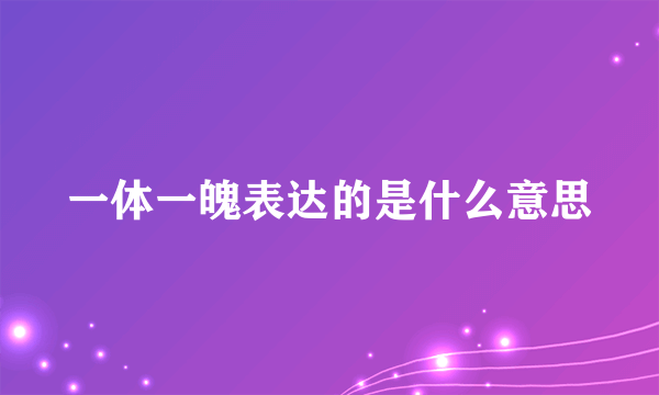 一体一魄表达的是什么意思