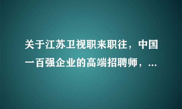 关于江苏卫视职来职往，中国一百强企业的高端招聘师，里面有个叫朴蕊的大姐，她是一家什么公司？