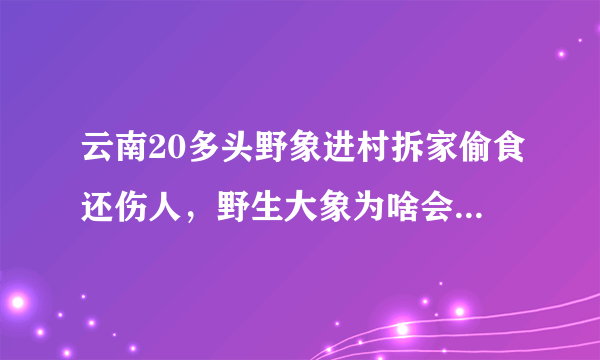 云南20多头野象进村拆家偷食还伤人，野生大象为啥会入侵人类生活地方？