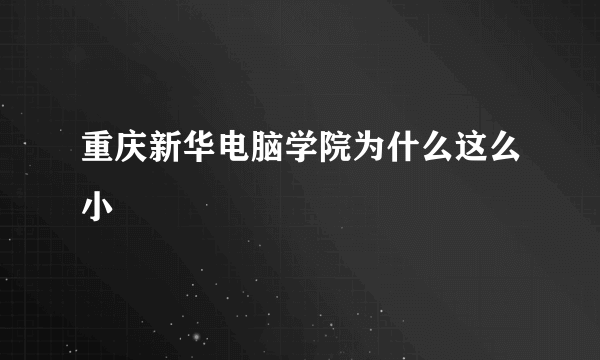 重庆新华电脑学院为什么这么小