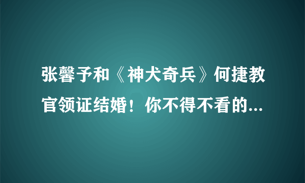 张馨予和《神犬奇兵》何捷教官领证结婚！你不得不看的甜暴瞬间