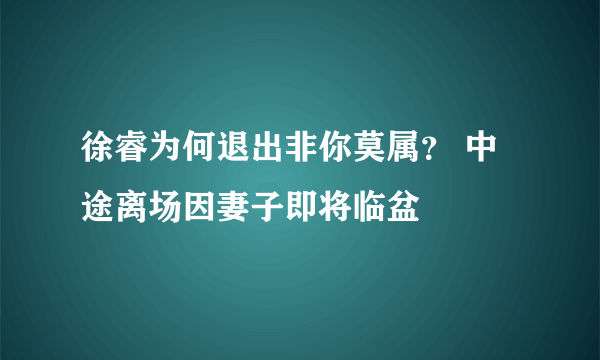 徐睿为何退出非你莫属？ 中途离场因妻子即将临盆