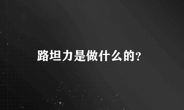 路坦力是做什么的？