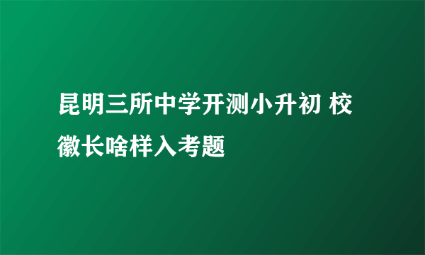 昆明三所中学开测小升初 校徽长啥样入考题