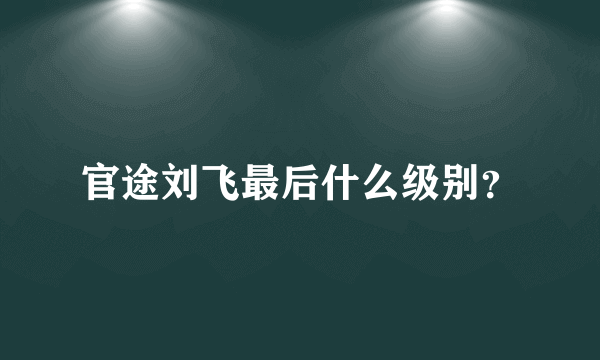 官途刘飞最后什么级别？