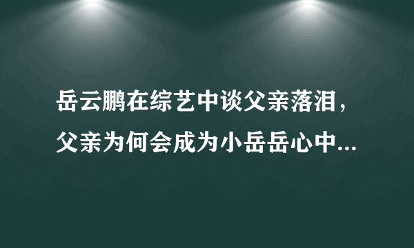 岳云鹏在综艺中谈父亲落泪，父亲为何会成为小岳岳心中永远的痛？