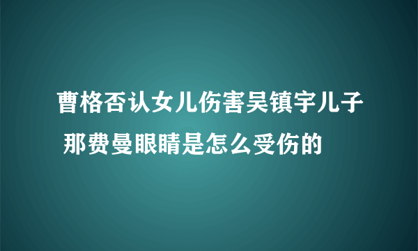 曹格否认女儿伤害吴镇宇儿子 那费曼眼睛是怎么受伤的