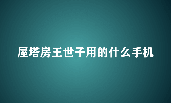 屋塔房王世子用的什么手机