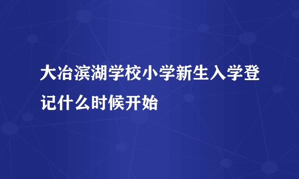 大冶滨湖学校小学新生入学登记什么时候开始