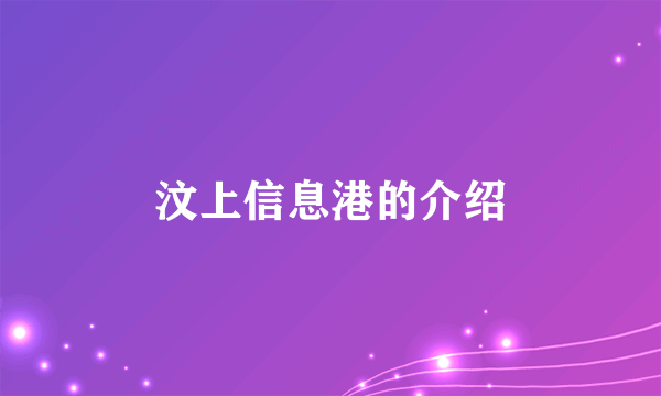 汶上信息港的介绍