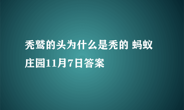 秃鹫的头为什么是秃的 蚂蚁庄园11月7日答案