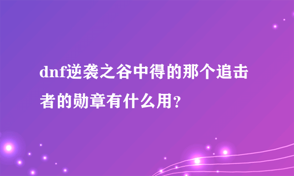 dnf逆袭之谷中得的那个追击者的勋章有什么用？