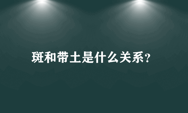 斑和带土是什么关系？