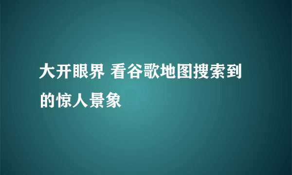 大开眼界 看谷歌地图搜索到的惊人景象