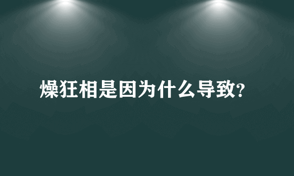 燥狂相是因为什么导致？