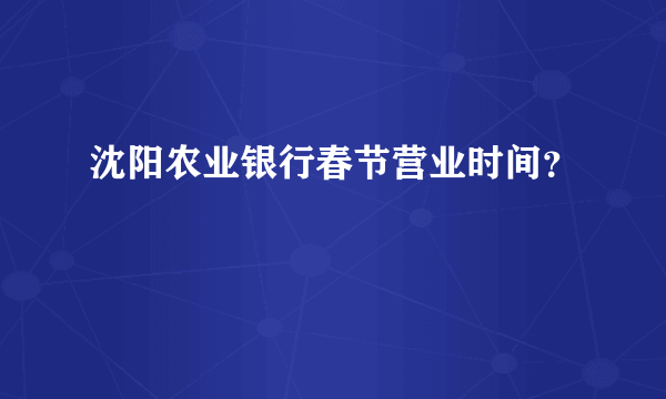 沈阳农业银行春节营业时间？