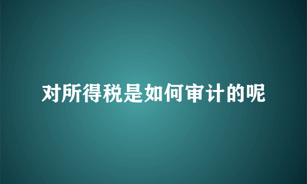 对所得税是如何审计的呢