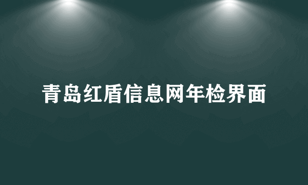 青岛红盾信息网年检界面