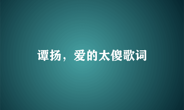 谭扬，爱的太傻歌词