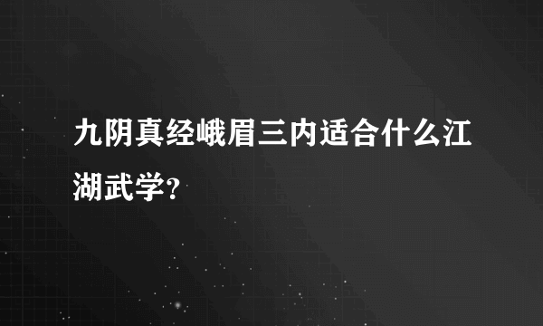 九阴真经峨眉三内适合什么江湖武学？