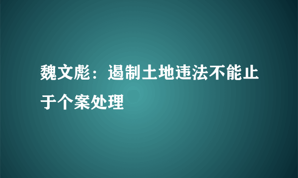 魏文彪：遏制土地违法不能止于个案处理