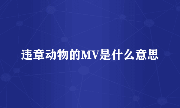 违章动物的MV是什么意思