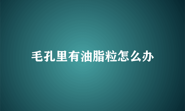 毛孔里有油脂粒怎么办