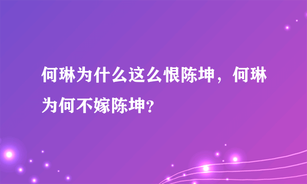 何琳为什么这么恨陈坤，何琳为何不嫁陈坤？