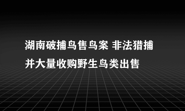 湖南破捕鸟售鸟案 非法猎捕并大量收购野生鸟类出售