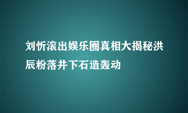 刘忻滚出娱乐圈真相大揭秘洪辰粉落井下石造轰动